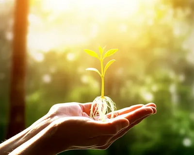 Illustration cherishing - Image 1