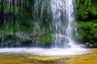 Illustration purged - Image 1