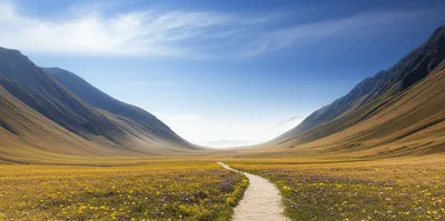 Illustration hopes - Image 1