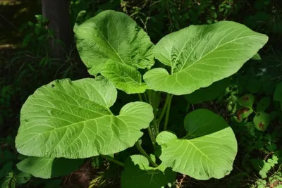 Illustration docks - Image 1