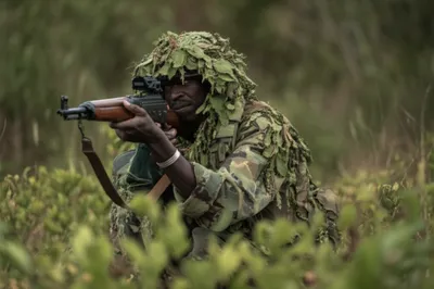 Illustration slot - Image 1