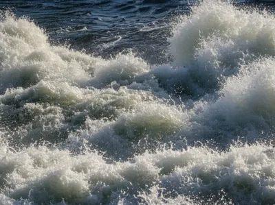 Illustration rapids - Image 1