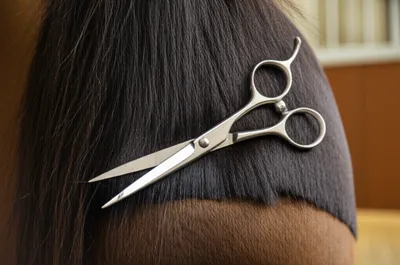 Illustration banged - Image 1