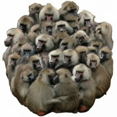 Illustration flange - Image 1