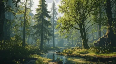 Illustration evergreen - Image 1