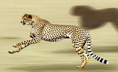 Illustration outstrip - Image 1