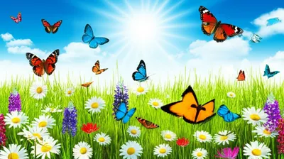 Illustration animated - Image 1