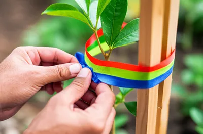 Illustration tying - Image 1