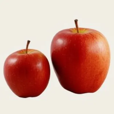 Illustration comp - Image 1