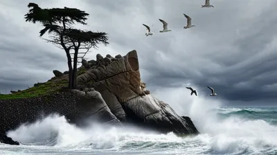 Illustration northeasterly