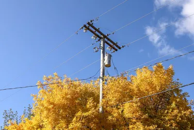 Illustration utilizing - Image 2