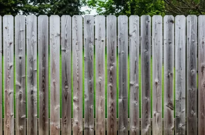 Illustration palings - Image 1