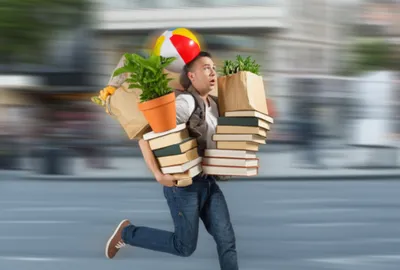 Illustration bundle - Image 1