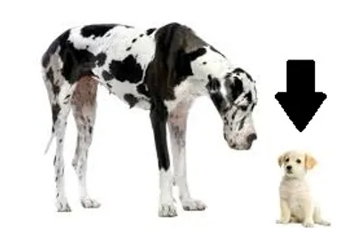 Illustration humble - Image 3