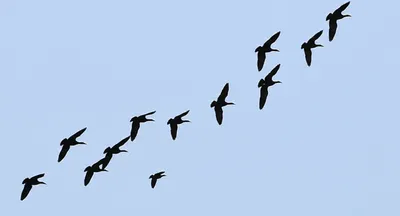 Illustration recruits - Image 1