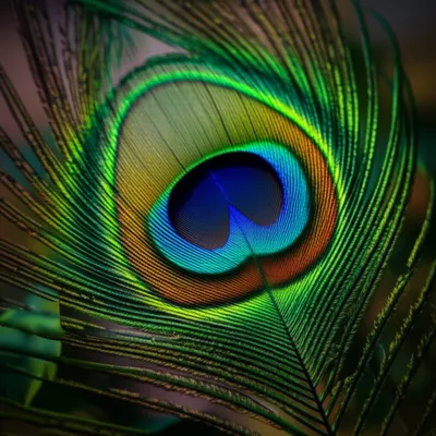 Illustration eye - Image 1