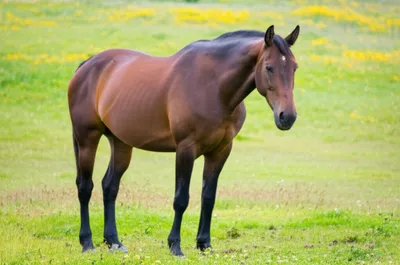 Illustration founders - Image 1