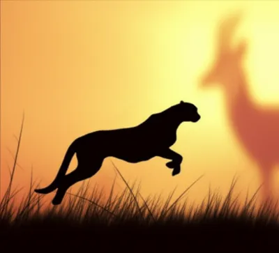 Illustration chevy - Image 1