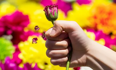 Illustration abusing - Image 1