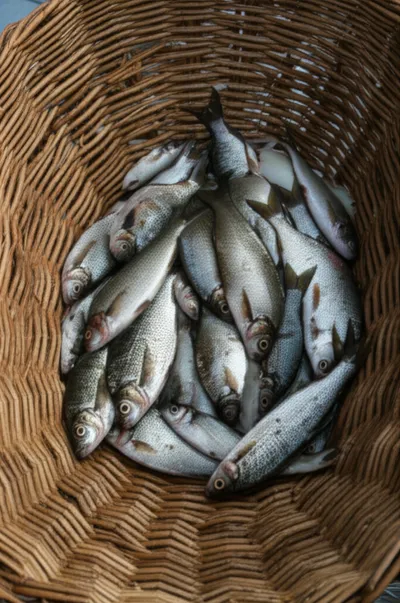 Illustration kit - Image 1