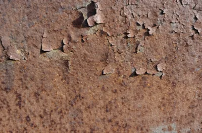 Illustration crusty - Image 1