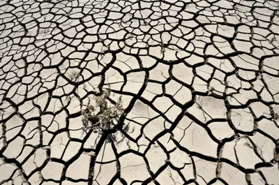 Illustration fractures