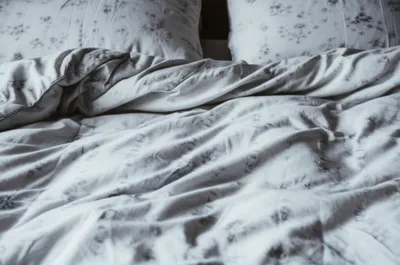 Hình ảnh minh họa duvets - Ảnh 1