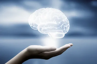 Illustration grasps - Image 1