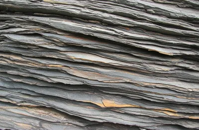Illustration shale - Image 1