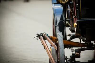 Illustration sill - Image 1