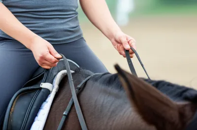 Illustration cheeked - Image 1