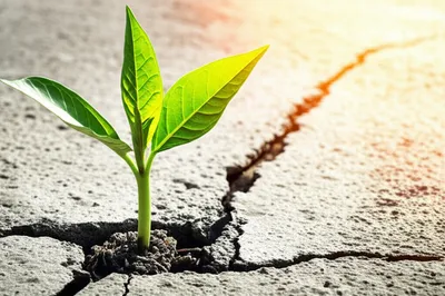 Illustration improving - Image 1