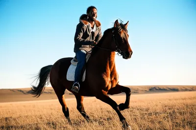 Illustration horsed - Image 1