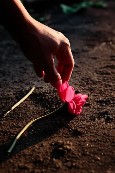 Illustration bereave - Image 1