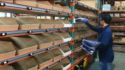 Illustration plant - Image 4