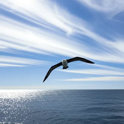 Illustration planing - Image 1