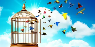 Illustration libs - Image 1