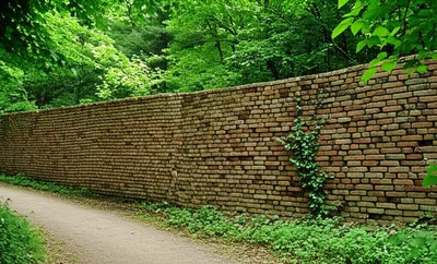 Illustration forestalled - Image 1