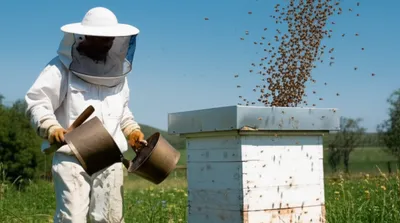 Illustration tang - Image 1