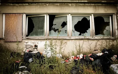 Illustration windows - Image 1