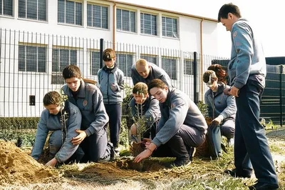 Illustration reformatory