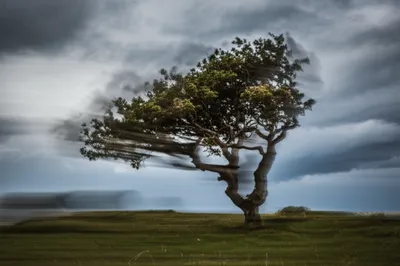 Illustration wavered - Image 1