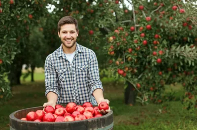 Illustration barrel - Image 1