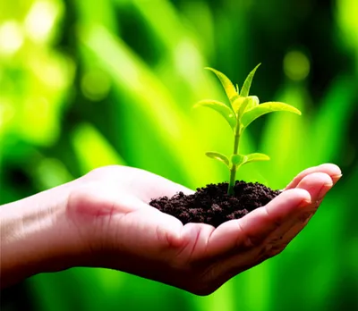 Illustration holder - Image 1