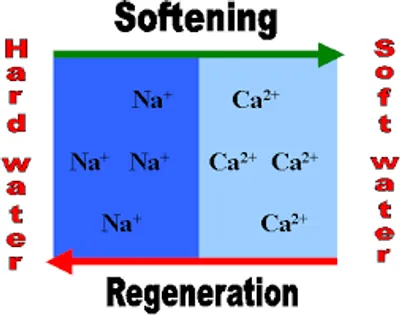 Illustration soften - Image 3