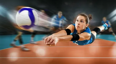 Illustration digs - Image 1