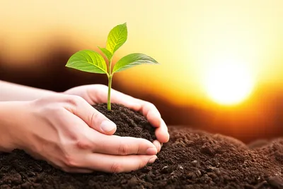 Illustration lands - Image 1