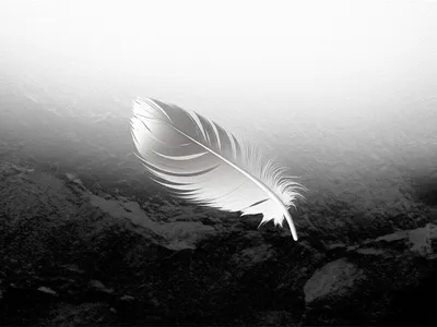 Illustration lightened - Image 1