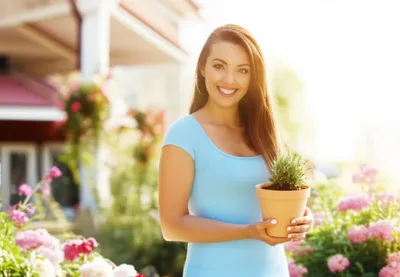 Illustration marriageable