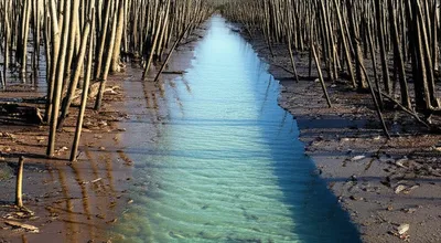 Illustration pollutes - Image 1